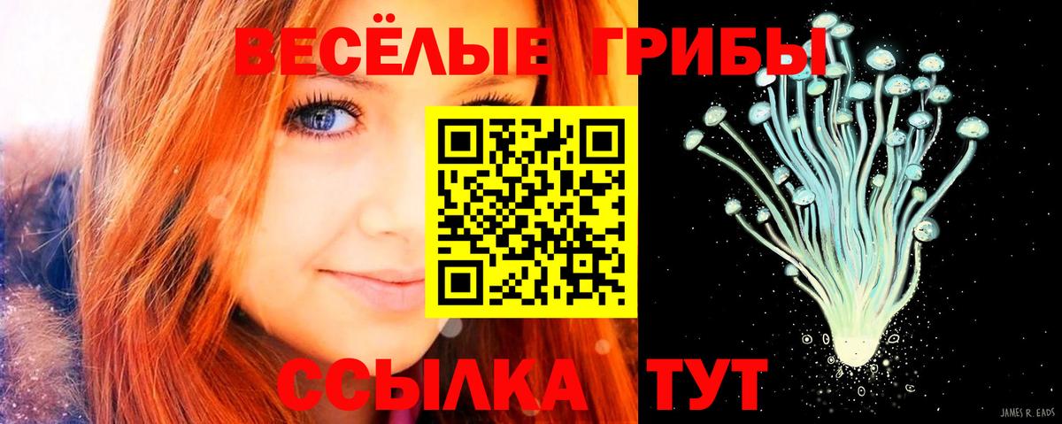Иркутск  Псилоцибиновые грибы GOLDEN TEACHER  Вход с VPN 