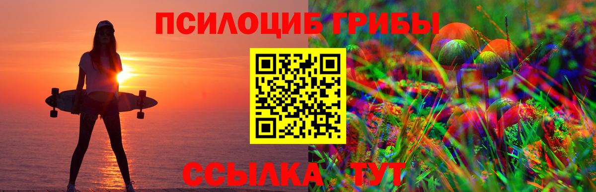 Псилоцибиновые грибы Psilocybine cubensis Иркутск